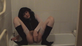 Hermaphrodite