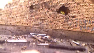 Extremely outdoor sex